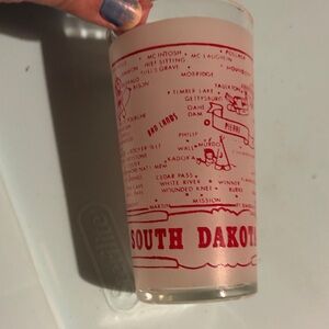 South Dakota Souvenir Glass